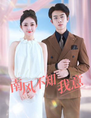 南风不知我意（81集）红果短剧看全集