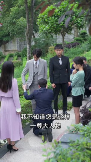 高手下山,退婚九个未婚妻(100集) 高手下山,退婚九个未婚妻(100集)男主角是谁