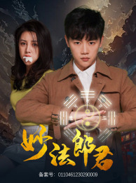 妙法郎君(97集) 妙法郎君(97集)经典老剧免费看