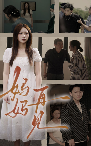 妈妈,再见(28集) 妈妈,再见(28集)免费在线看全集