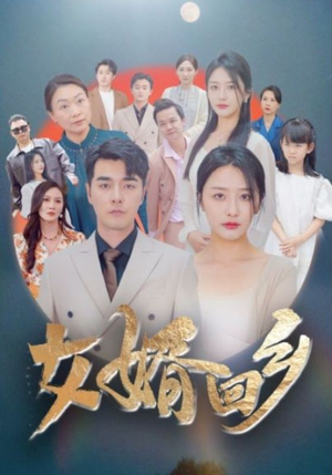 女婿回乡(120集) 女婿回乡(120集)好看短剧追不停