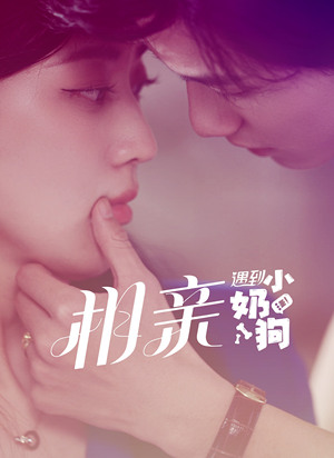 相亲遇到小奶狗（80集）深深爱上这部剧