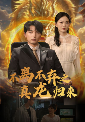 不离不弃之真龙归来（73集）免费看全集