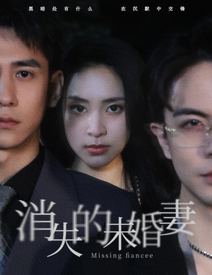 消失的未婚妻(82集) 消失的未婚妻(82集)免费看短剧全集