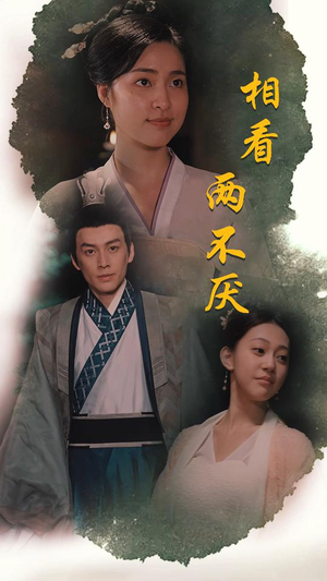 相看两不厌（85集）热门短剧免费看