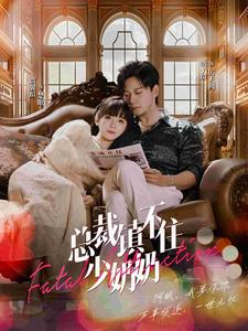 总裁镇不住少奶奶（101集）男主角是谁