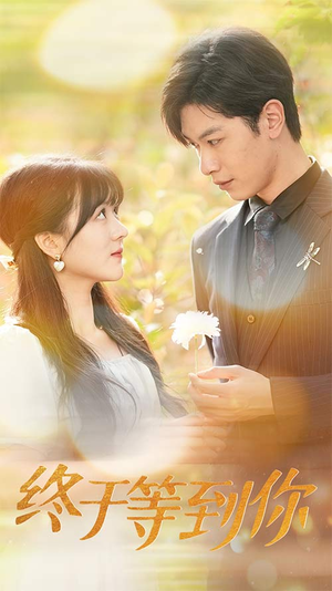 终于等到你(80集) 终于等到你(80集)在哪看免费