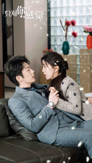 只对你有感觉（77集）口碑之选免费看