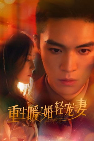 重生暖婚轻宠妻（70集）全集我都看完了