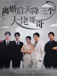 离婚后天降三个大佬哥哥(83集) 离婚后天降三个大佬哥哥(83集)免费短剧看不停