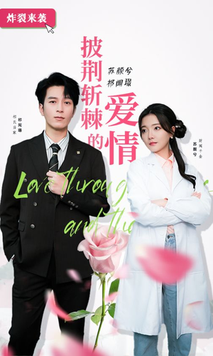 披荆斩棘的爱情（90集）全剧免费观看