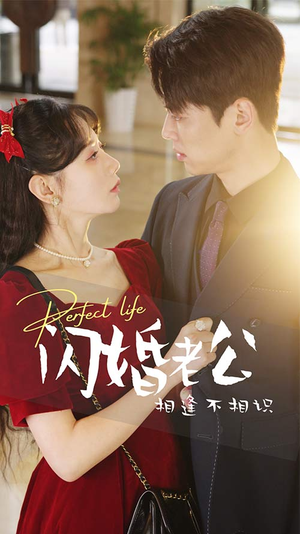 闪婚老公相逢不相识(90集) 闪婚老公相逢不相识(90集)好看的国产短剧