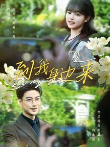 到我身边来(100集) 到我身边来(100集)在线观看