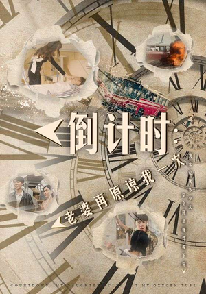 倒计时:老婆再原谅我一次(100集) 倒计时:老婆再原谅我一次(100集)演的怎么样