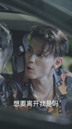 插翅难飞 (30集) 插翅难飞 (30集)在线观看全集