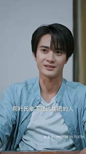 隐龙之护妻高手（100集）百度网盘资源