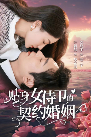 贴身女侍卫的契约婚姻(91集) 贴身女侍卫的契约婚姻(91集)高质量短剧推荐