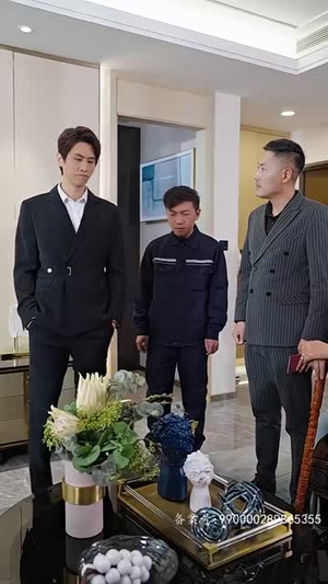 新版 离婚后她惊艳了世界（99集）男频短剧推荐