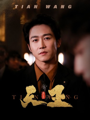 5天王(100集) 5天王(100集)剧情简介