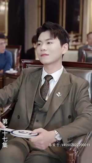 潜龙出山之我为王(100集) 潜龙出山之我为王(100集)短剧追到爽