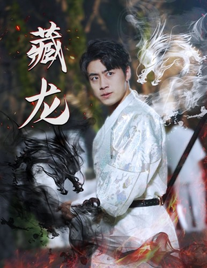 藏龙（74集）河马免费短剧