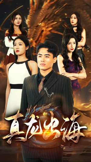 真龙出海（80集）热播短剧全集看