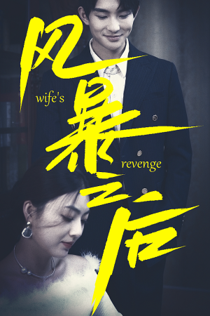 风暴之后(80集) 风暴之后(80集)精彩短剧追不停