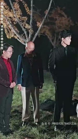 帮老婆成首富结果跟我说离婚（95）正能量短剧分享