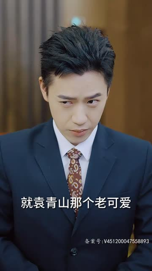 仙之巅（87集）短剧全集免费看