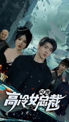 闪婚高冷女总裁（100集）在哪看免费