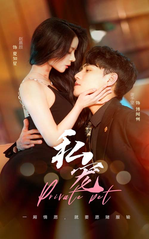 私宠(94集) 私宠(94集)红果短剧免费看