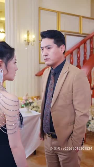 特工夫妇(82集) 特工夫妇(82集)西瓜短剧免费看