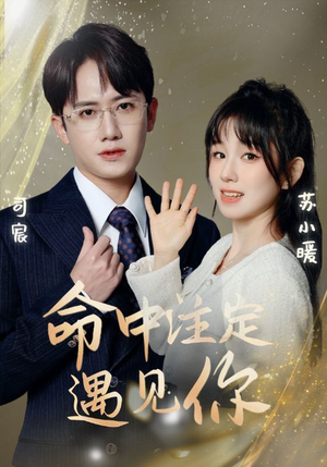 命中注定遇见你(96集) 命中注定遇见你(96集)好看短剧看不停