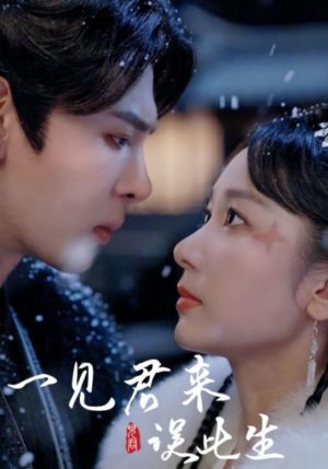 一见君来误此生(95集) 一见君来误此生(95集)解说文案