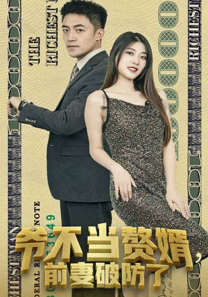 爷不当赘婿，前妻破防了（80集）短剧全集免费