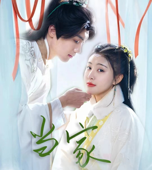 傻子王爷娇宠妃&当家（50集）热门短剧看不停