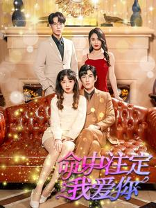 命中注定我爱你(99集) 命中注定我爱你(99集)热播短剧分享