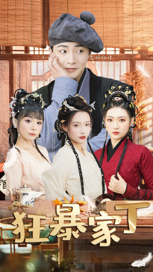 狂暴家丁$飞驰人生之超品家丁（90集）全集免费看短剧