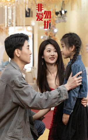 非爱勿扰(92集) 非爱勿扰(92集)我真的爱了