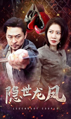 隐世龙凤(63集) 隐世龙凤(63集)全集