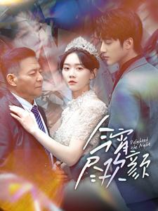 今宵尽欢颜(99集) 今宵尽欢颜(99集)全剧看到大结局