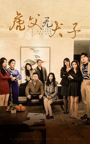 虎父无犬子(70集) 虎父无犬子(70集)零花钱看整部剧