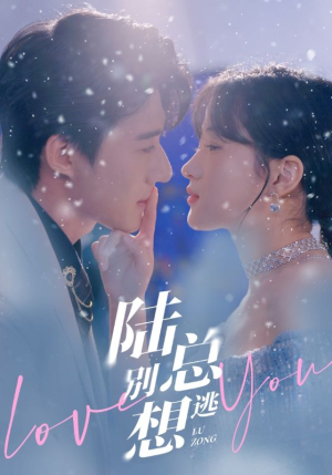 陆总别想逃（80集）短剧解说全集