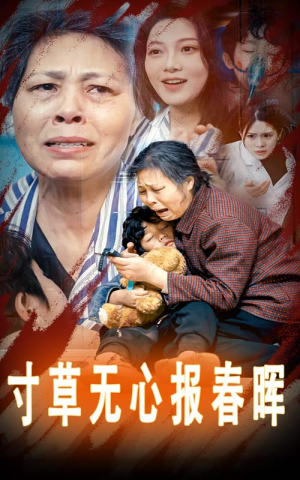 孝子慈孙（31集）免费观看