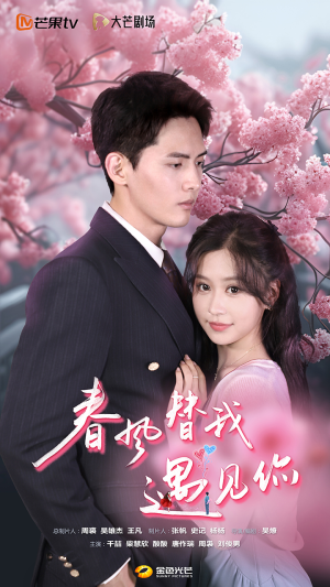 春风替我遇见你(100集) 春风替我遇见你(100集)免费观看完整版