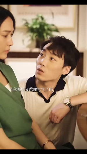 冲破婚姻的风暴(29集) 冲破婚姻的风暴(29集)迅雷网盘观看