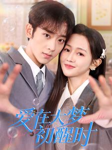 爱在大梦初醒时(100集) 爱在大梦初醒时(100集)一口气看完