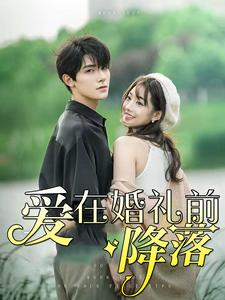 爱在婚礼前降落(50集) 爱在婚礼前降落(50集)看到了大结局