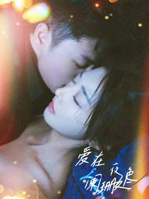 爱在夜色阑珊处(85集) 爱在夜色阑珊处(85集)热播短剧排行榜