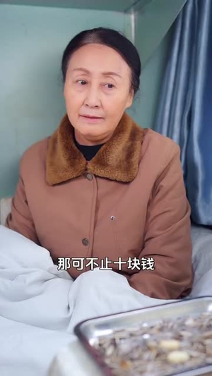 春运回家路(32集) 春运回家路(32集)短剧追到爽